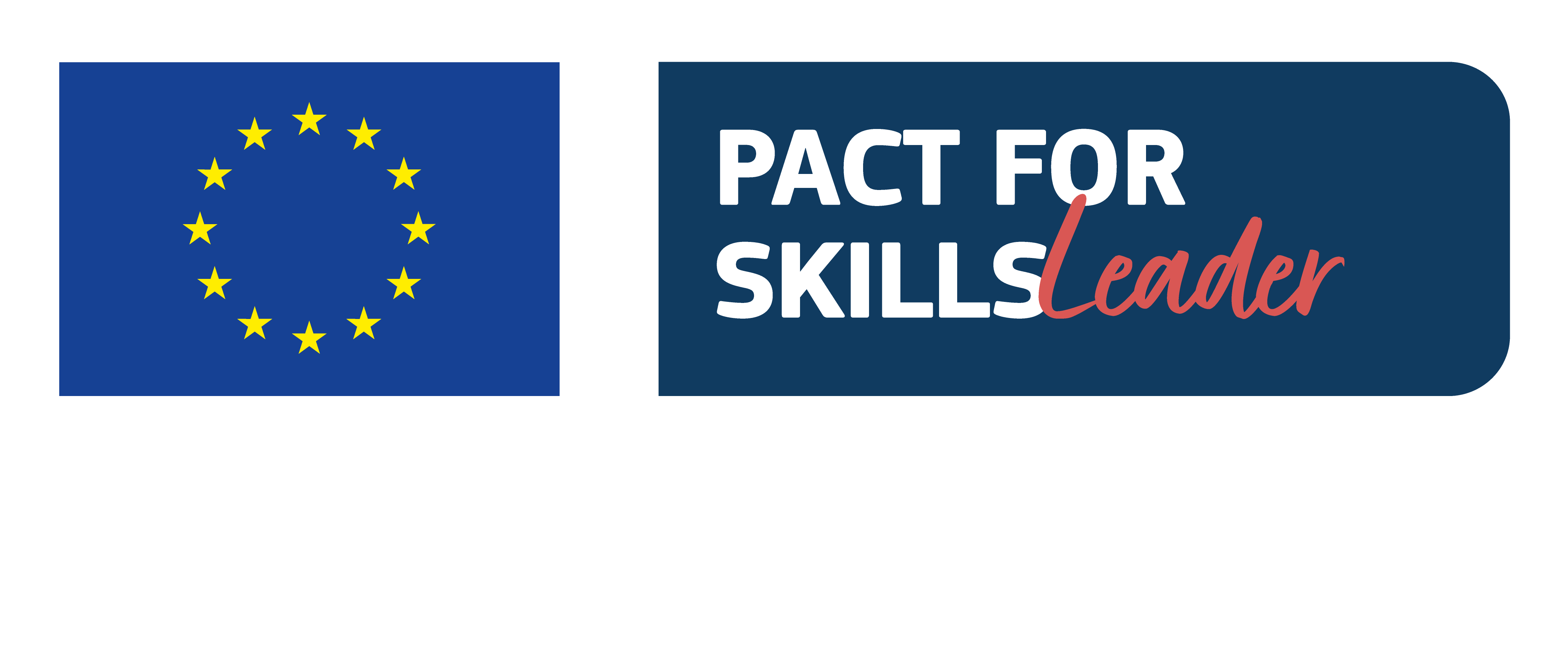 Pact for Skills Leader &ndash; European Commission